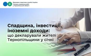 Спадщина, інвестиції, іноземні доходи: що декларували жителі Тернопільщини у січні