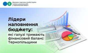 Лідери наповнення бюджету: які галузі тримають фінансовий баланс Тернопільщини