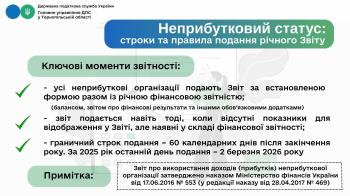 Неприбутковий статус: строки та правила подання річного Звіту