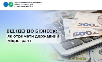 Від ідеї до бізнесу: як отримати державний мікрогрант
