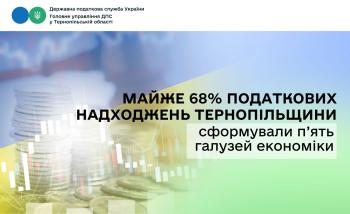 Майже 68% податкових надходжень Тернопільщини сформували п’ять галузей економіки