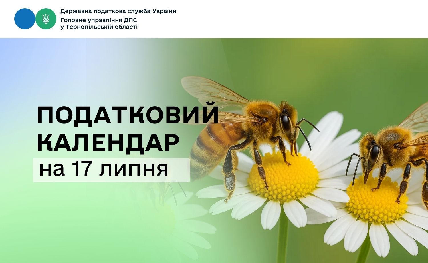 Податковий календар на 17 липня