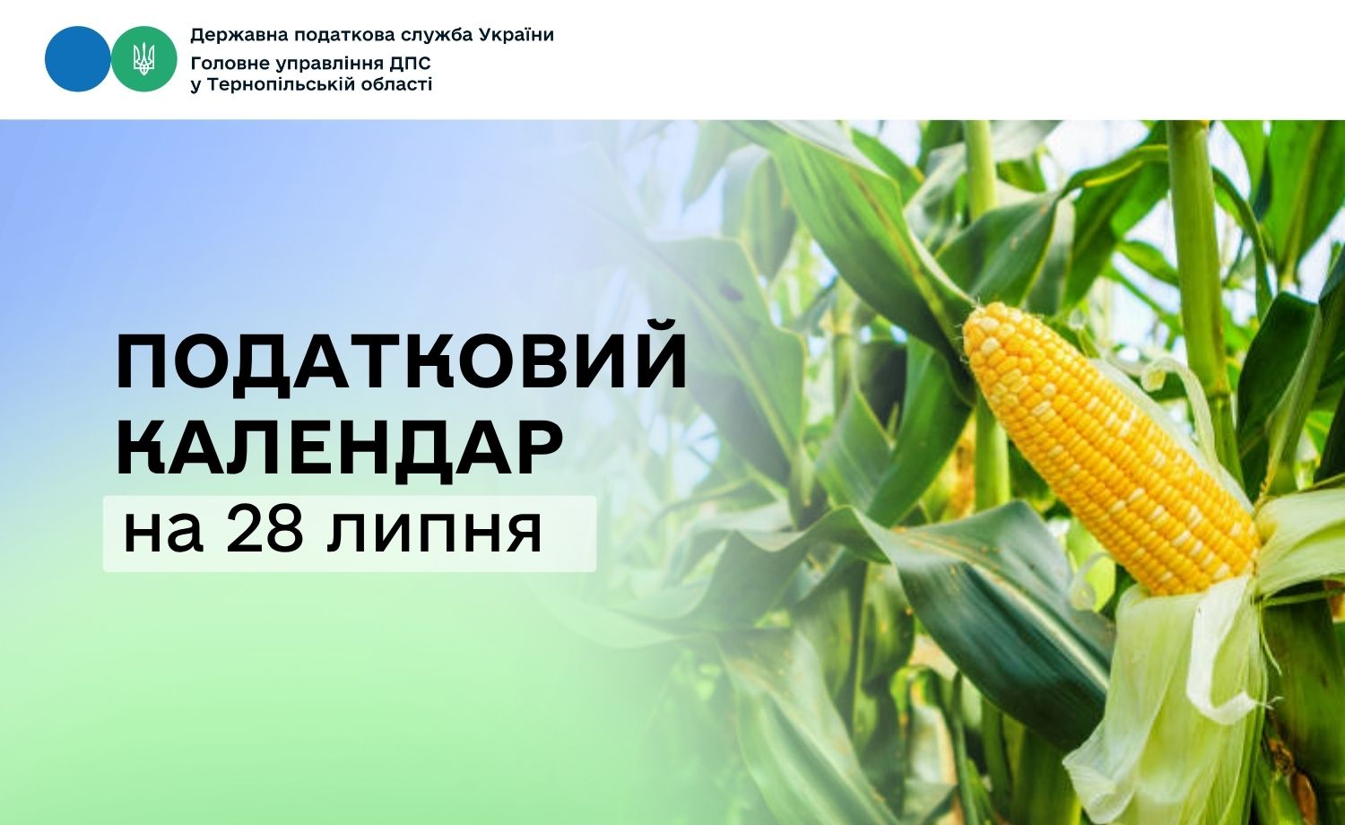 Податковий календар на 28 липня