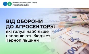 Від оборони до агросектору: які галузі найбільше наповнюють бюджет Тернопільщини