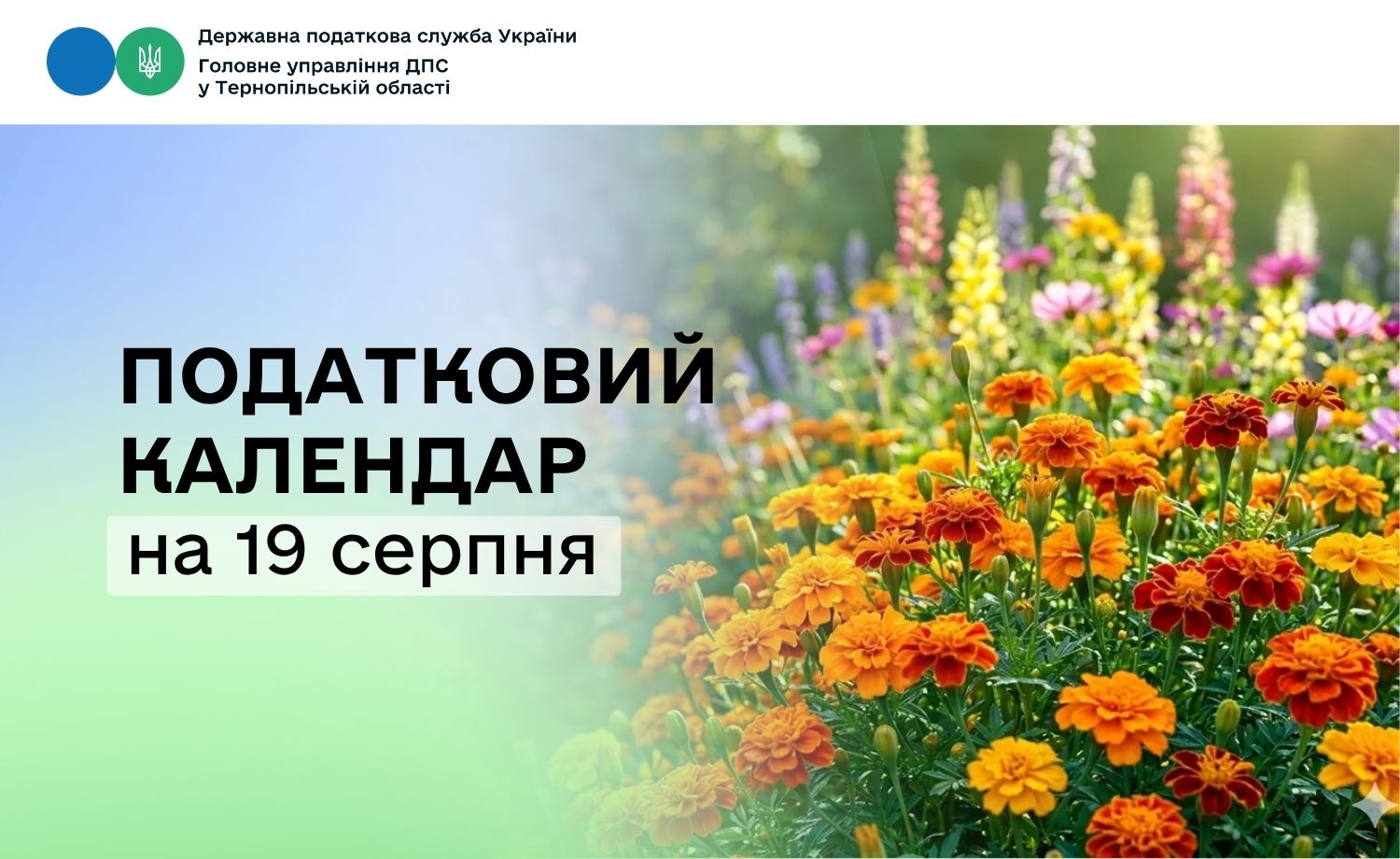 Податковий календар на 19 серпня