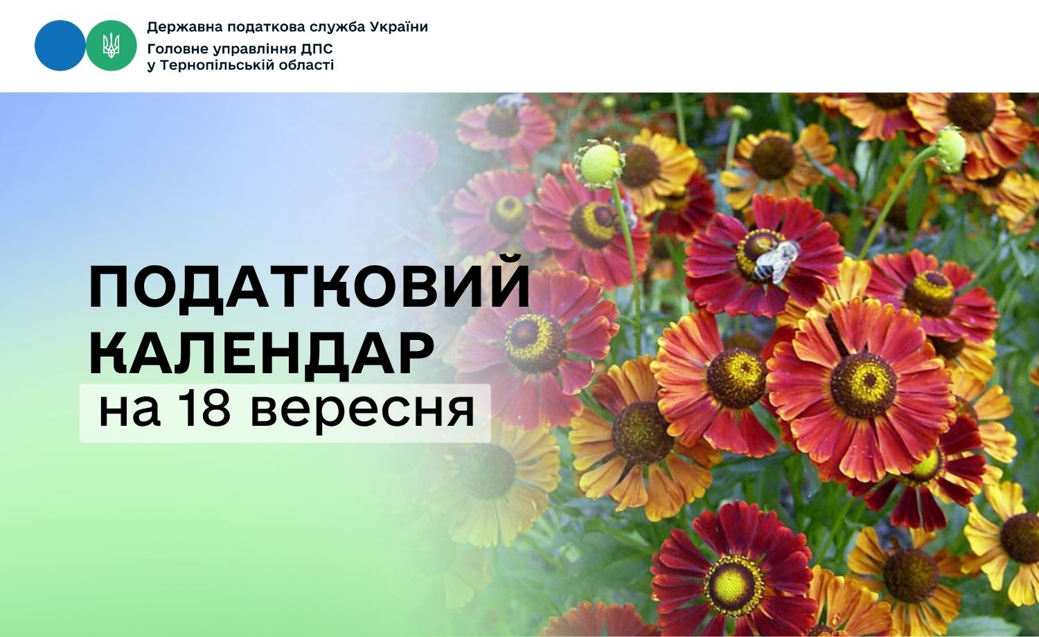 Податковий календар на 18 вересня