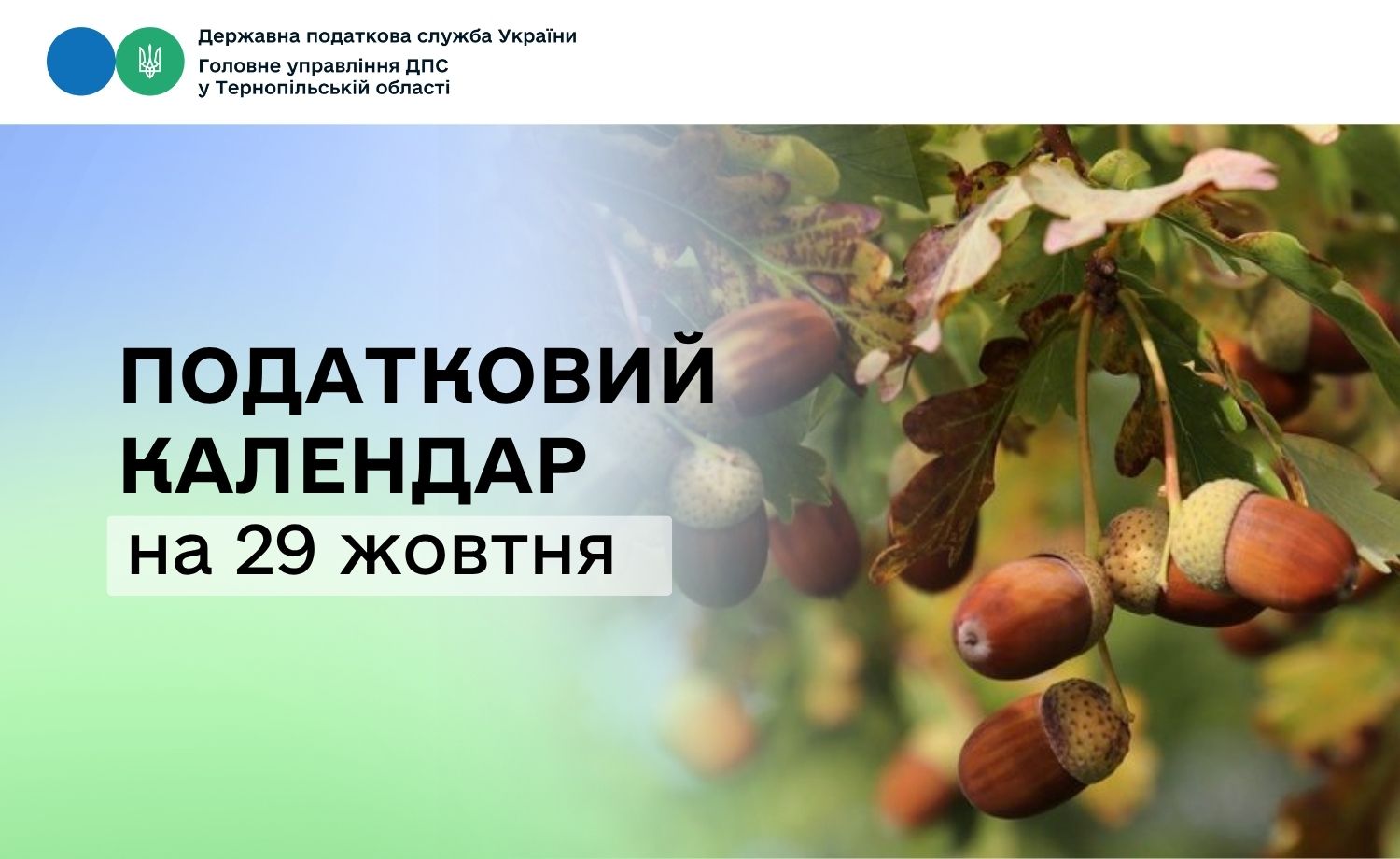 Податковий календар на 29 жовтня
